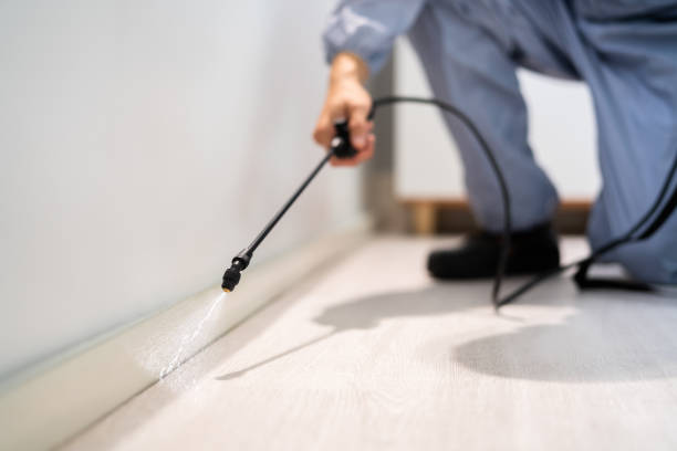 Bed Bug Pre-Treatment Preparation Assessment in Foxfire