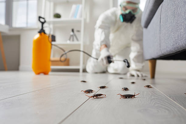 Post-Treatment Bed Bug Interceptor Monitoring in Foxfire