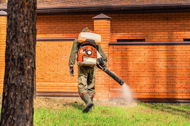 Bed Bug Clearance Verification and Documentation in Foxfire